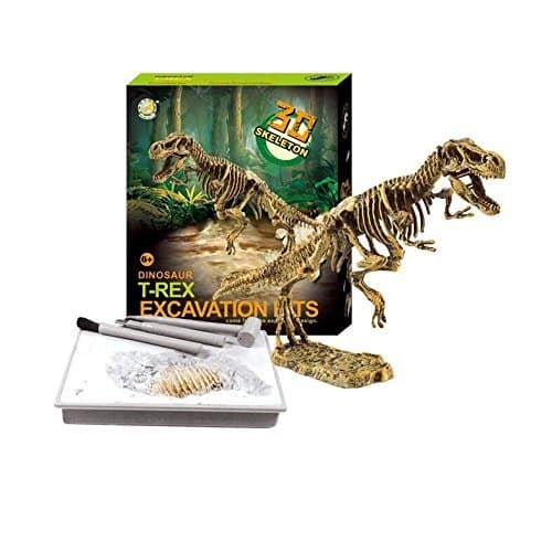 Redtail Dinosaur Excavations Kits – Unearth 3D Dinosaur Bones - T-Rex