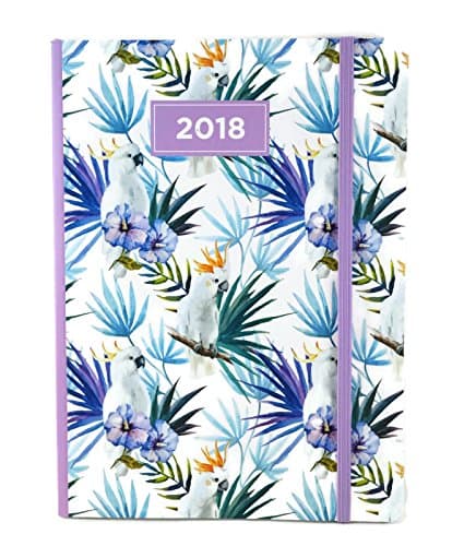 2018 Weekly By Day Planner Calendar Journal, 8.25 X 6 Inches, Laminated Cover (Birdsand Fronds)