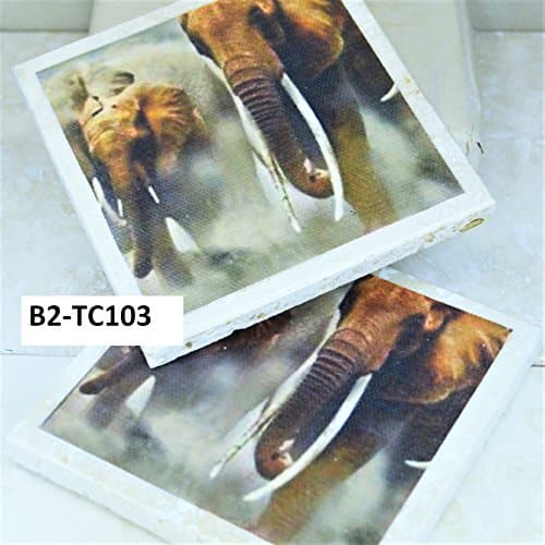 2 African Elephants Big Tusks 4" x 4" Travertine Coasters