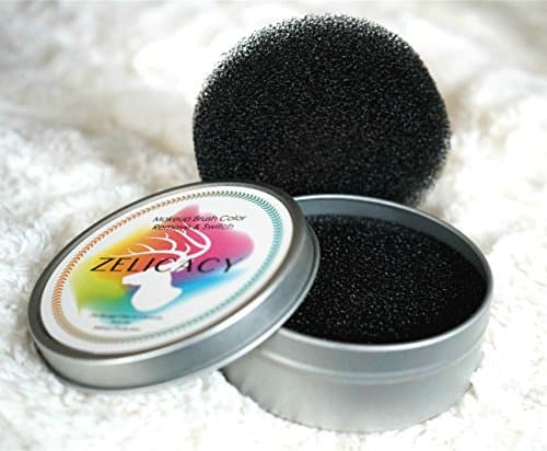 Zelicacy 2 in1 Makeup Brushes Color Switch & Removal Dry Sponge Kit with Case | One More Refill Dry Sponge | Instantly Switch and Remove Color from Eyeshadow Makeup or Blush Brushes