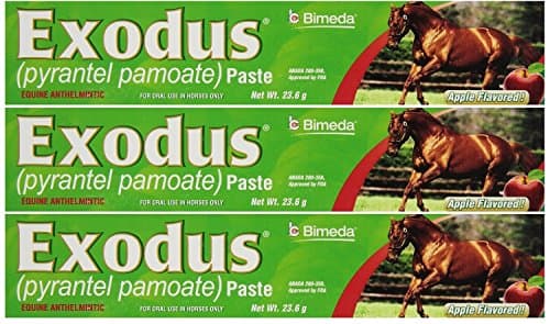 BIMEDA PYRANTEL Paste Horse 23.6 Gram WORMER Exodus PAMOATE STRONGID