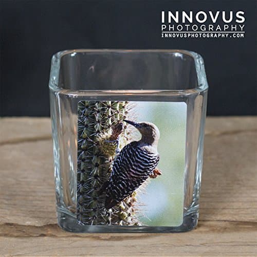 Candle Holder - Ladder Back Woodpecker