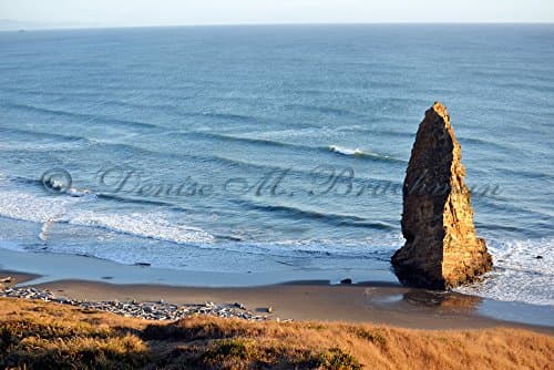 Cape Blanco State Beach - Sentinel - Beach Wall Decor - Beach House Wall Art - Beach Photography - Coastal Living - Oregon Coast