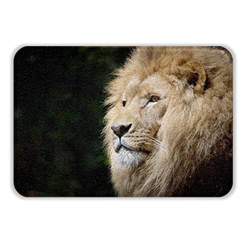 ALL PRIDE Lion Design Fresh Style Bath Mat Super Soft The Non Slip Latex Free Plush Microfiber with Quickly Drying Antibacterial Bathroom Shower Mats Rug 17"x24