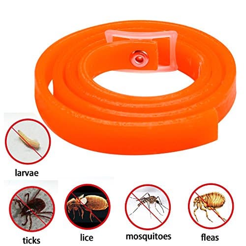 Pet Flea and Tick Collar for Cats and Kittens 33 cm - 3 Months Protection (Orange flavor)