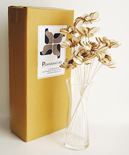 10 Geranium Sola Flower Reed Diffuser for Home Fragrance Aroma Oil by Plawanature