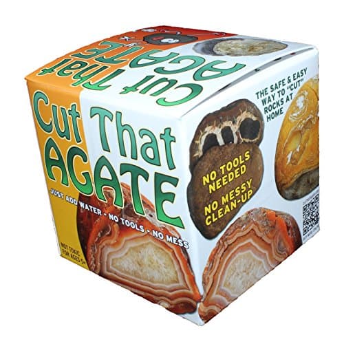 Cut That Agate - Septarian Calcite Nodule