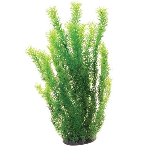 Underwater Treasures 20768 Cabomba, 20"