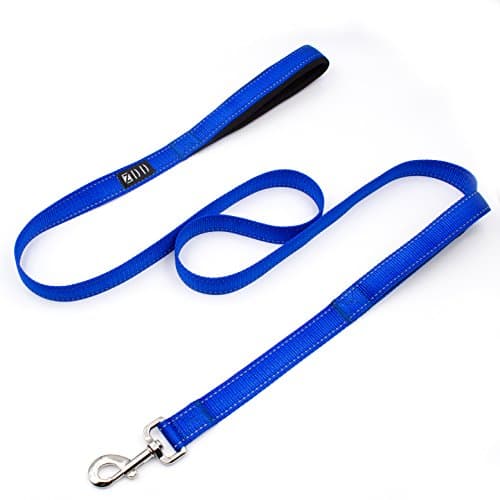 ZDD Padded Handle - 6 ft Long 1 Inch Wide Perfect for Everyday Training Walking Running Best For XL Large Medium And Small Dogs (blue)