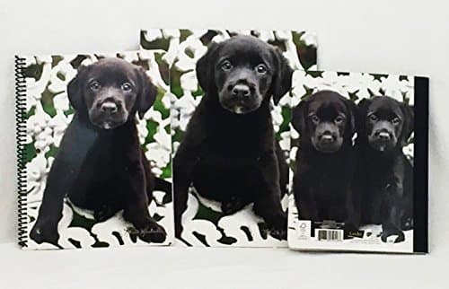 Adorable Puppy Dog School Set Folder Composition and Notebook (Black Lab)