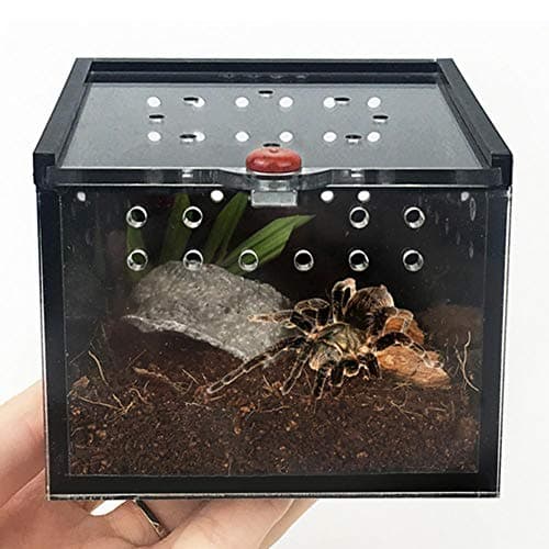 Earlyad Pet Feeding Box for Spider Lizard Frog Cricket Turtle Pet Breeding