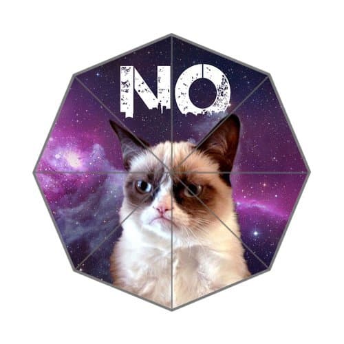 DailyLifeDepot Generic Totes Compact Lightweight Open / Close Foldable Rainy / Sunny Gift Custom Rain Umbrella - Grumpy Cat Say No Galaxy Space Nebula Hipster Gift Design