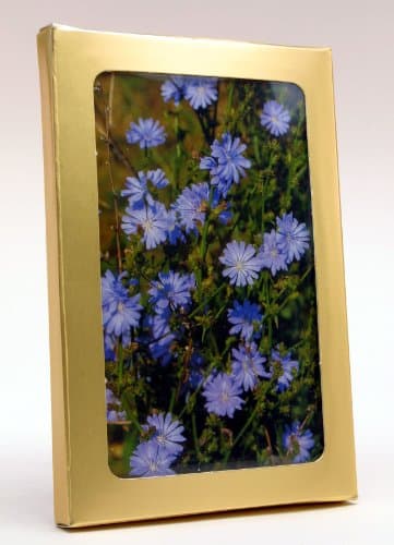 Bach Flower Remedies: 40 Postcard Set