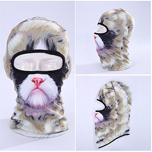 ICESNAKE Motorcycle Snow Snowboarding Face Ski Mask 3D Shield hat cap (#002)