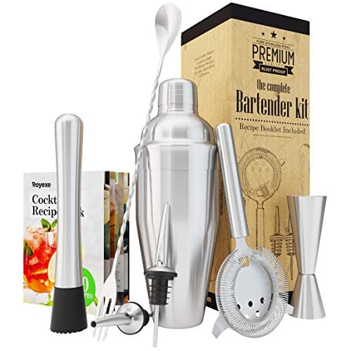 All-inclusive Bar Set | Professional Home Bartender Cocktail Shaker Set | Includes a Recipe Book & All Necessary Bar Tools and Accessories | Impressive Gift for Men! (Stainless Steel)