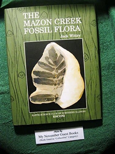 The Mazon Creek Fossil Flora