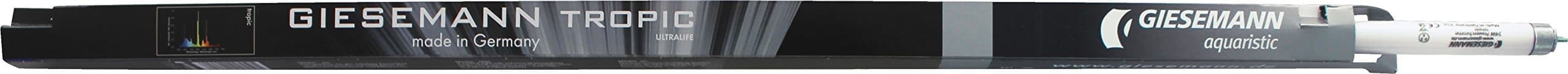 Giesemann Tropic T5 80w