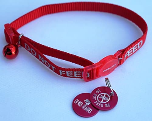 DO NOT FEED REFLECTIVE SAFETY CAT COLLAR RED & PERSONALISED TAG WITH FISH BONES MOTIF