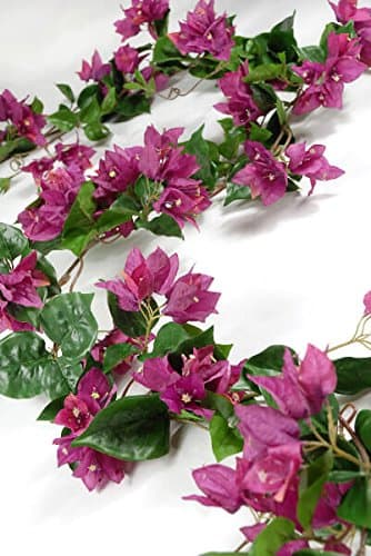 Dexon Power Bougainvillea Garlands