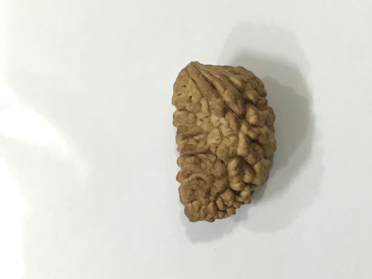 Rudrani 108 Beads Japa Mala with Pure 92.5 % Silver Cap Meditation Hindu Yoga Raiki Pooja Puja Prayer Rosary