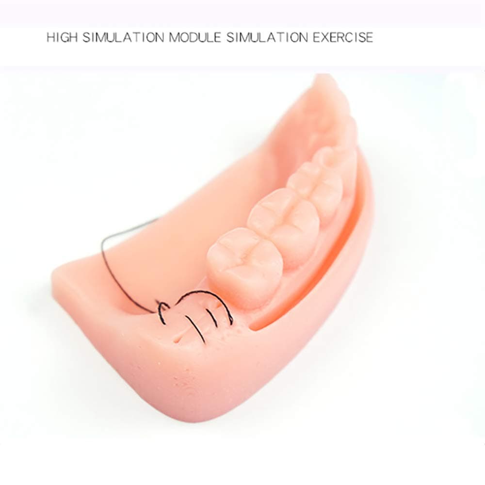 Oral Cavity Suture Training 3D Suture Practice Module Gum, Periodontitis Silicone Suture Practice Reusable for Medical Students Education