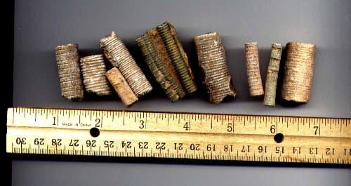 Bulk Fossils - Crinoid Stems - 1 lb - 100+ Pieces from DINOSAURS ROCK®