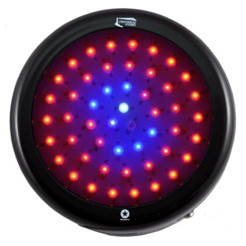 100W LED Grow Light Lighthouse Hydro BlackStar 100 Watts Flowering by Lighthouse Hydro
