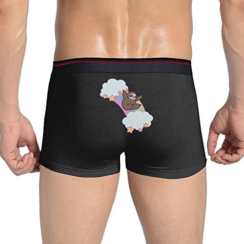 VXUeiq Men's Classics Funny Rainbow Cloud Sloth Boxer Brief Stretchable Underwear Comfort Flex Waistband XL