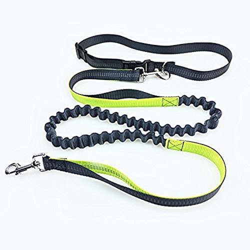 Nylon running belt pet traction rope (green)
