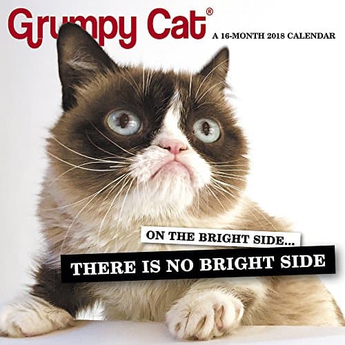 2018 Grumpy Cat Mini Calendar (Day Dream)