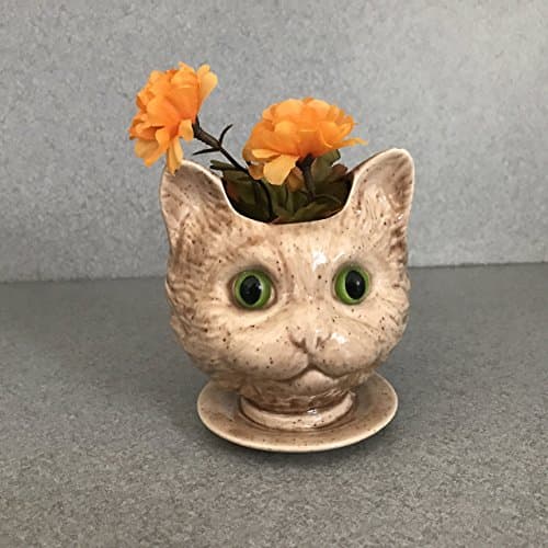 Handmade Cat Ceramic pot Succulent herb pot Cinnamon Cat Doll head ceramic Green Plastic Eyes Free Shipping