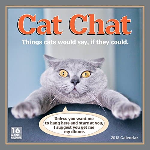 Cat Chat: Things Cats Would Say If They Could 2018 Wall Calendar Calendar – Wall Calendar, 31 Aug. 2017