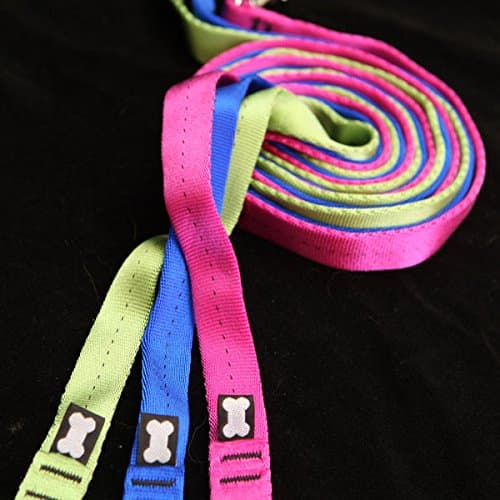 Mes Amis Snap Leash 1/2" X 6 Feet (Purple)