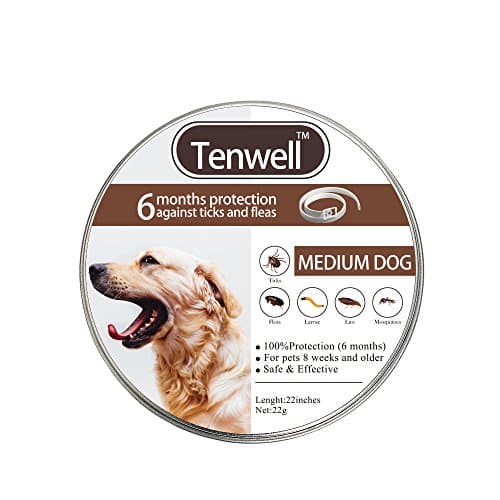 Dog Flea and Tick Collar Flea Prevention Collar 6 Month Protection Natural Essential Oils 22Inch Collar Ajustable for Fit