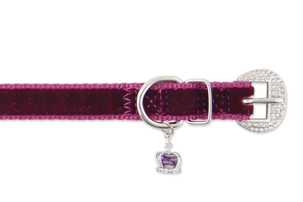 Ancol Small Bite Crown Jewel Collar, Purple/Amethyst, Small