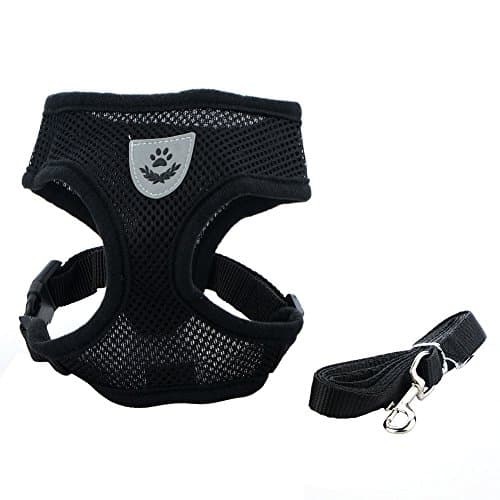 Skyoo Breathable Mesh Small Dog Pet Harness and Leash Set Puppy Vest Pink Red Blue Black For Chihuahua,cat