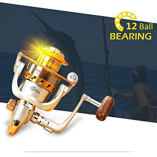 Yumoshi 12BB Fish Spinning Reels with Left/Right Interchangable Metal Aluminum Rocker-Arm for Saltwater Freshwater Powerful Fishing (EF500-EF9000 Series) (EF3000)