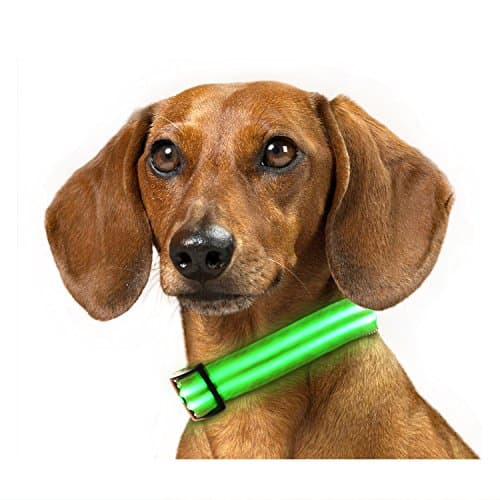 Rechargeable LED Dog Collar, IKET Shiny Double Light Magic Ring to use When Walking Your Dog (M, Green)