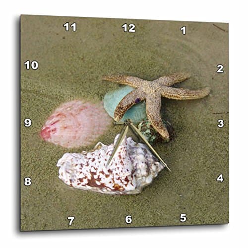Florene Star Fish n Sea Shells Wall Clock, 10 by 10-Inch