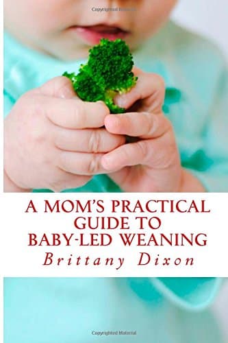 A Mom's Practical Guide to Baby-Led Weaning