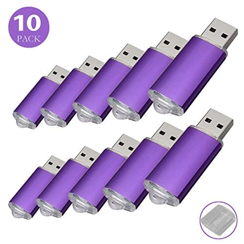 RAOYI 10 Pack 16GB Bulk USB Flash Drive USB 2.0 Memory Stick Thumb Drive Jump Drive Pen Drive, Purple