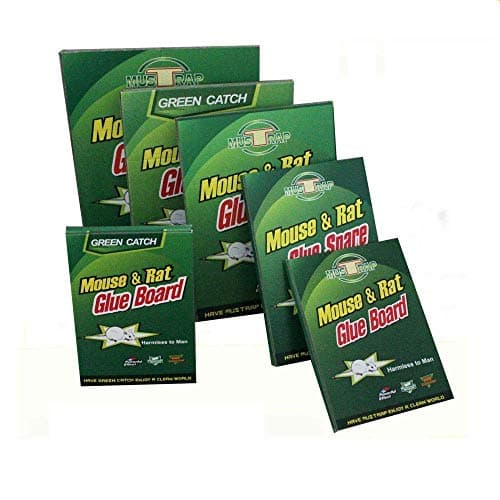 The Momentum Planner Spiral-bound – January 1, 2012