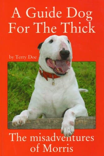 A Guide Dog for the Thick Paperback – 1 Aug. 2005