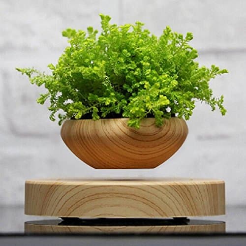 Flora Flora Round Wood Grain Levitating Planter