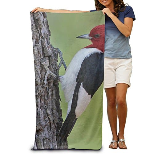 Red Headed Woodpecker Microfiber Beach Towel - Quick Dry Travel Towel, Lightweight, Absorbent, Compact 51" X 31.5" Pool Towel