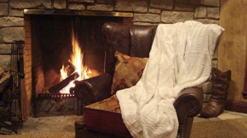 Plush Oversized and Warm Faux Fur and Microfiber Throw Blanket 60" X 70" (White)