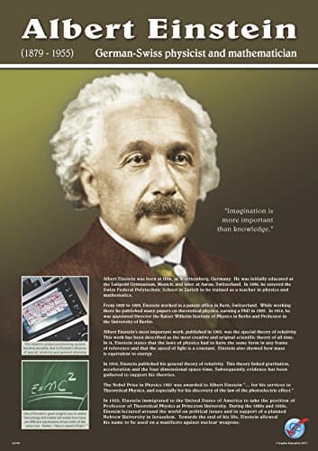 Albert Einstein Vinyl Poster (16 in x 23 in)
