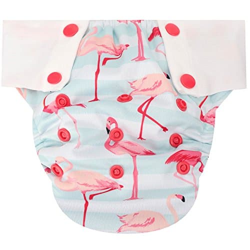 HappyEndings Toddler/Kid Pull On Reusable Cloth Diapers/Training Pants (Medium, (Fits 35-50lbs), Flamingos)