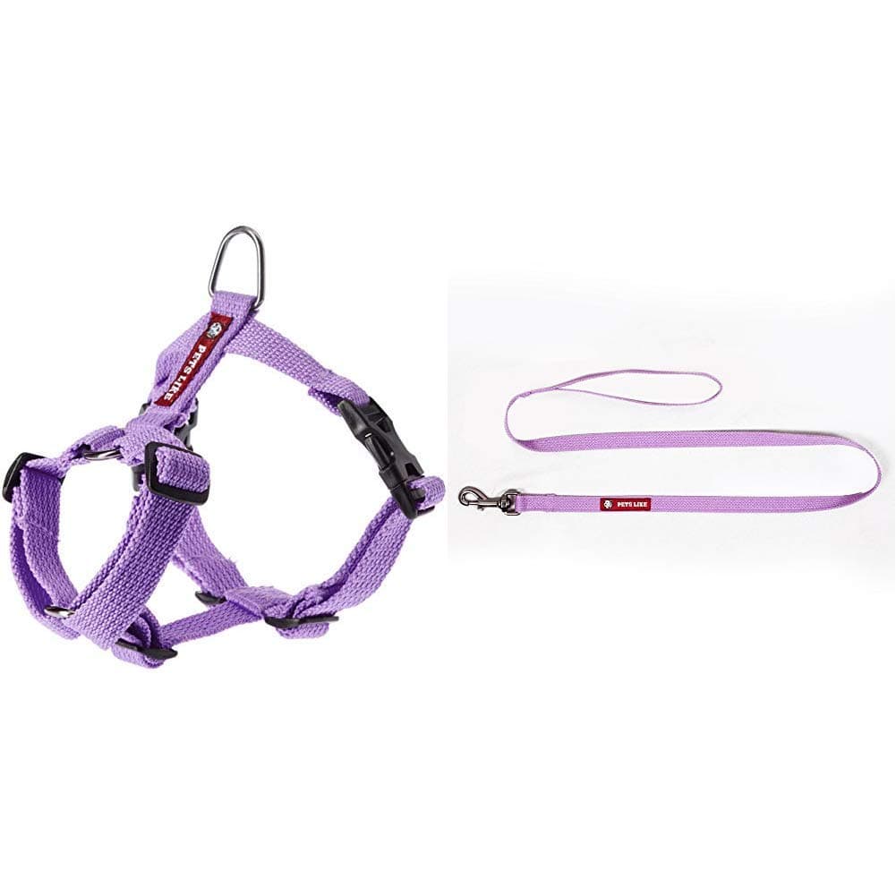 PetsLike Full Harness and Leash, Purple, Small