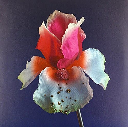 Tiny Cities (Feat. Beck)/Take A Chance (Feat. Little Dragon)